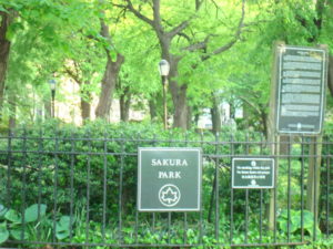 Sakura Park New York