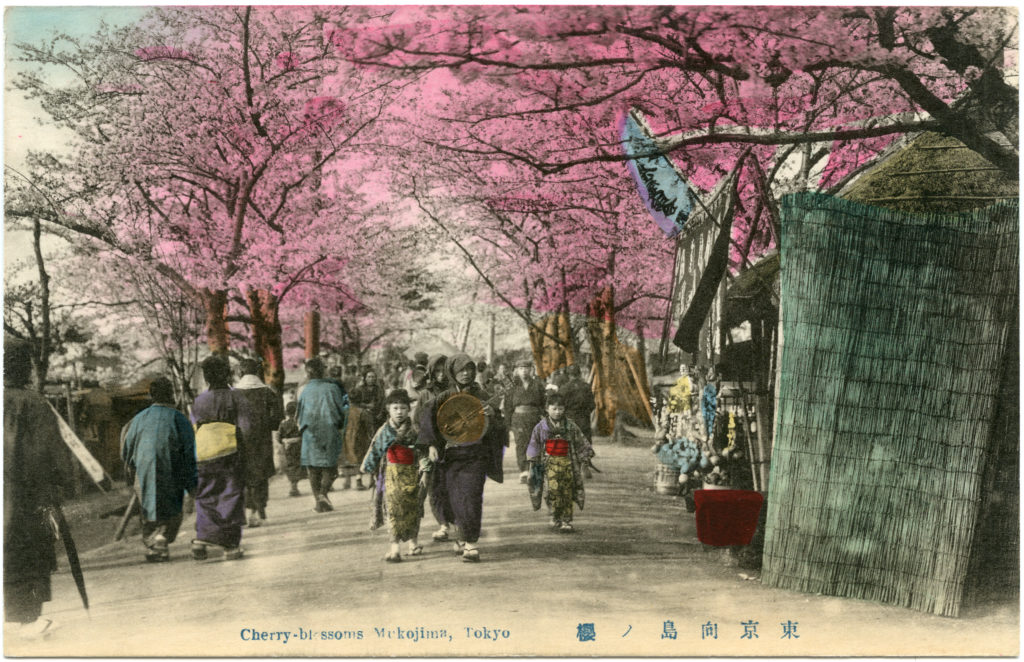 Hand-colored postard of Mukojima